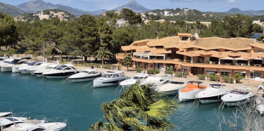 Apartamento Santa Ponsa, Mallorca, España 2 dormitorios, No. 117413