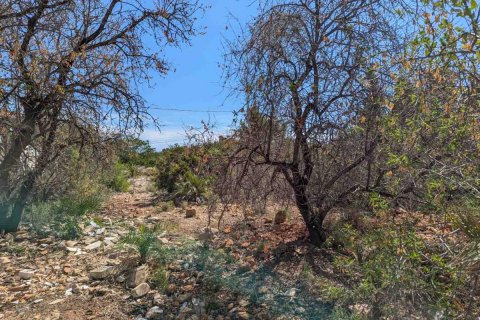 Land plot à vendre Denia, Alicante, EspagneNo. 113071 - photo 4
