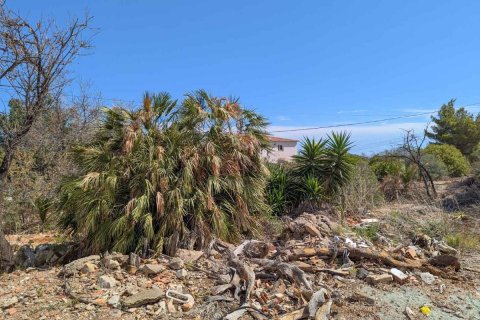 Land plot à vendre Denia, Alicante, EspagneNo. 113071 - photo 1