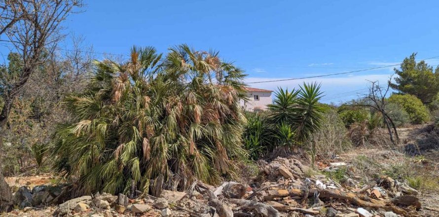 Land plot Denia, Alicante, Espagne No. 113071