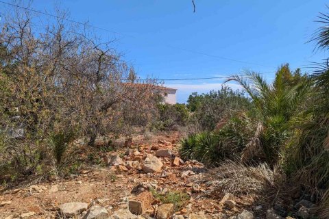 Land plot à vendre Denia, Alicante, EspagneNo. 113071 - photo 3