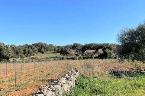 Parcela en venta Costitx, Mallorca, España 4 dormitorios, 30143 m2 No. 111761 - foto 13