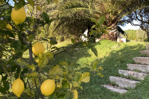 Finca myytävänä Establiments, Mallorca, Espanja, 3 makuuhuonetta, 245 m2 No. 111801 - kuva 13