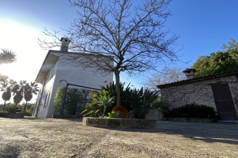 Finca myytävänä Establiments, Mallorca, Espanja, 3 makuuhuonetta, 245 m2 No. 111801 - kuva 14
