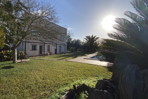 Finca myytävänä Establiments, Mallorca, Espanja, 3 makuuhuonetta, 245 m2 No. 111801 - kuva 17
