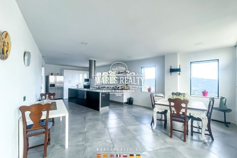 Villa à vendre Mataro, Barcelona, Espagne, 4 chambres, 403 m2 No. 117641 - photo 13