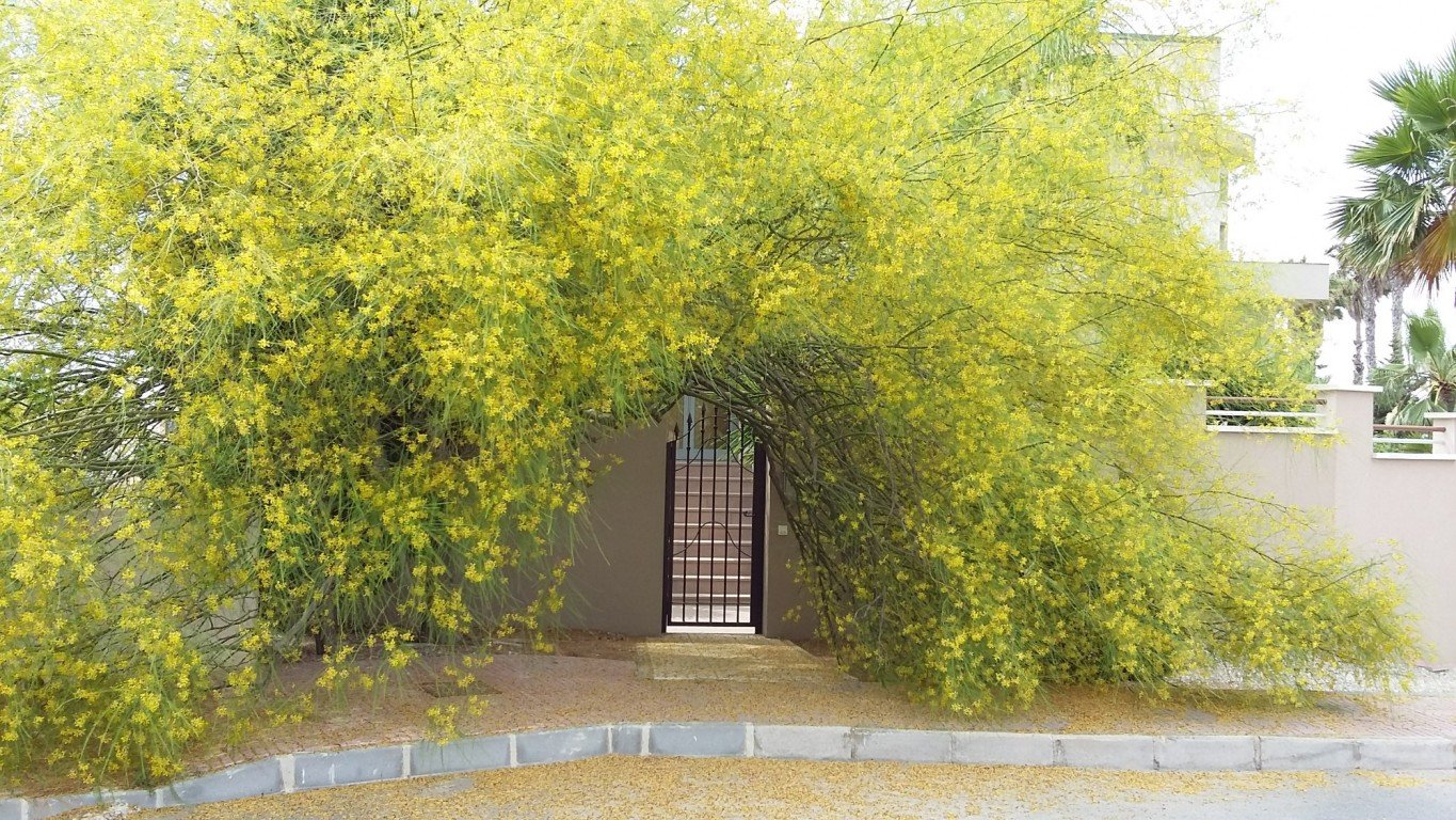 Huvila Ciudad Quesada, Alicante, Espanja 4 makuuhuonetta, 400 m2 No. 113884