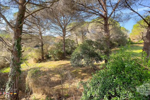 Land plot for sale Condado del Jaruco, Girona, Spain 17000 sq.m. No. 96415 - photo 6