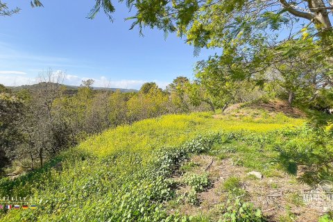 Land plot for sale Condado del Jaruco, Girona, Spain 17000 sq.m. No. 96415 - photo 5