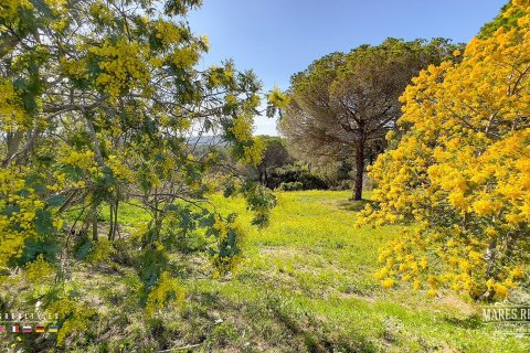 Land plot for sale in Condado del Jaruco, Girona, Spain 17000 sq.m. No. 96415 - photo 4