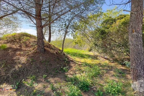 Land plot for sale in Condado del Jaruco, Girona, Spain 17000 sq.m. No. 96415 - photo 17