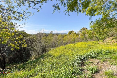 Land plot for sale Condado del Jaruco, Girona, Spain 17000 sq.m. No. 96415 - photo 11