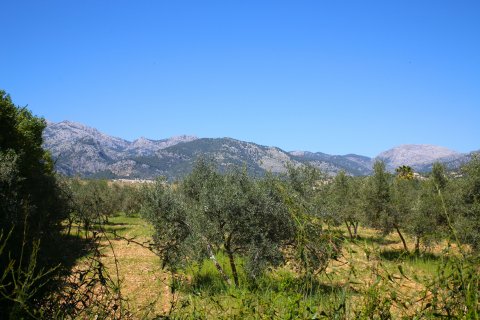 Finka Selva, Mallorca, Hiszpania 2 sypialnie, 150 mkw. nr 111752 – zdjęcie 2