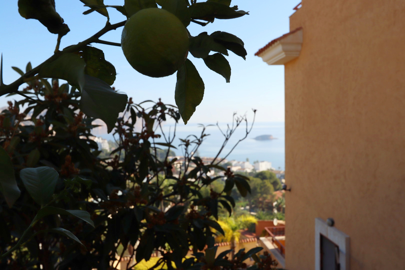 Willa w Altea, Alicante, Hiszpania 5 sypialni, 630 mkw. nr 115356