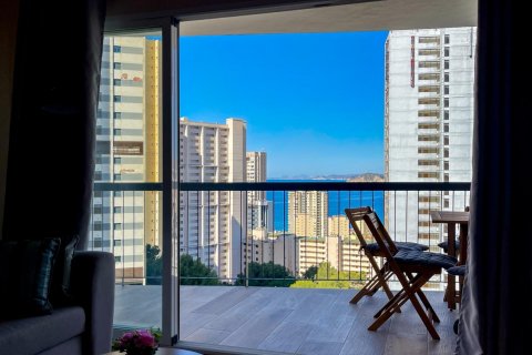 Wohnung zur Miete Benidorm, Alicante, Spanien 1 Schlafzimmer, 73.69 m2 Nr. 109078 - Foto 19