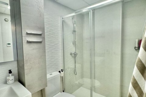 Продажа квартиры в Бенидорм, Аликанте, Испания 2 спальни, 114м2 №118024 - фото 22