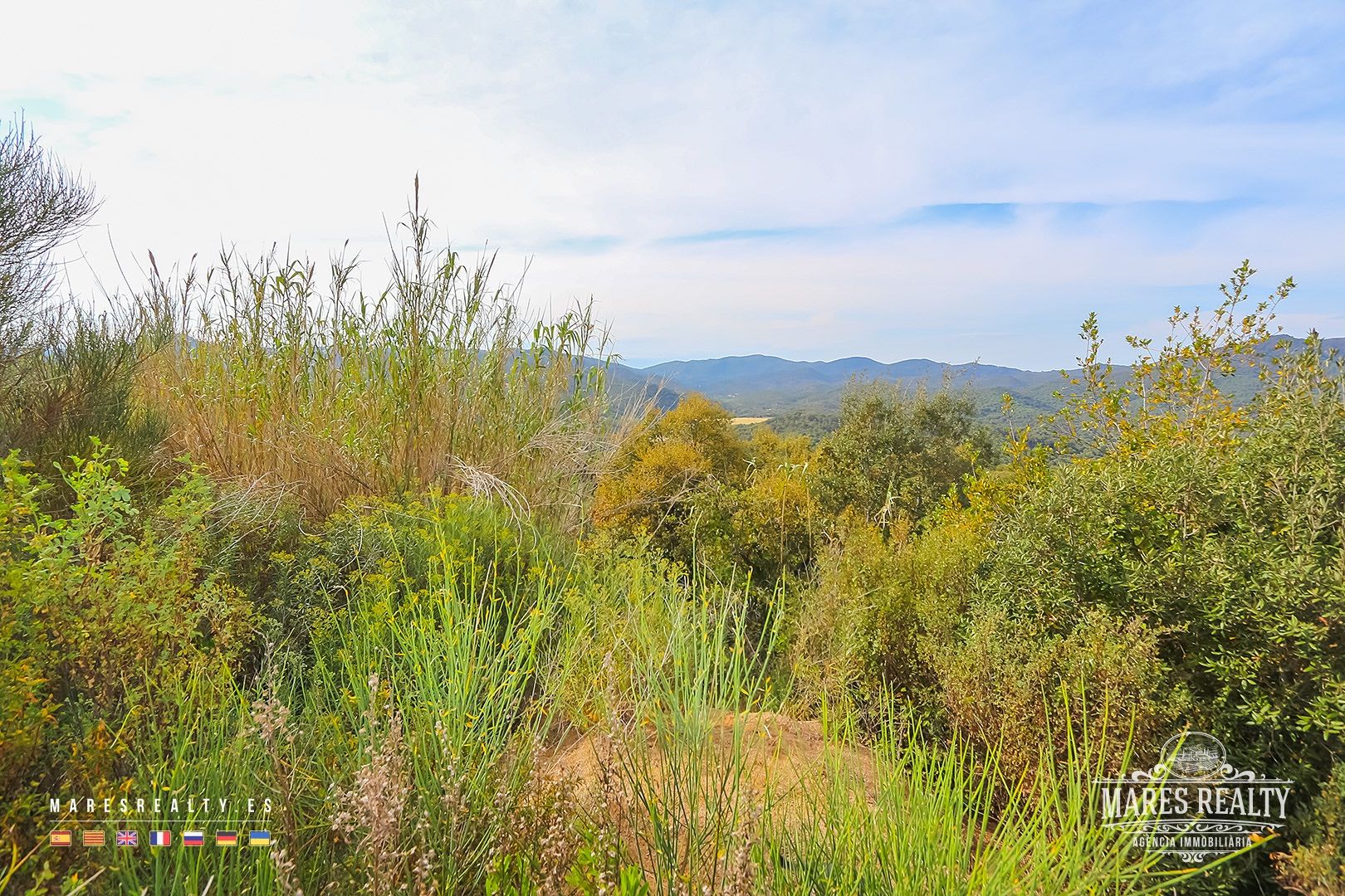 Terreno a Tossa de Mar, Girona, Spagna 17000 mq. N° 91099