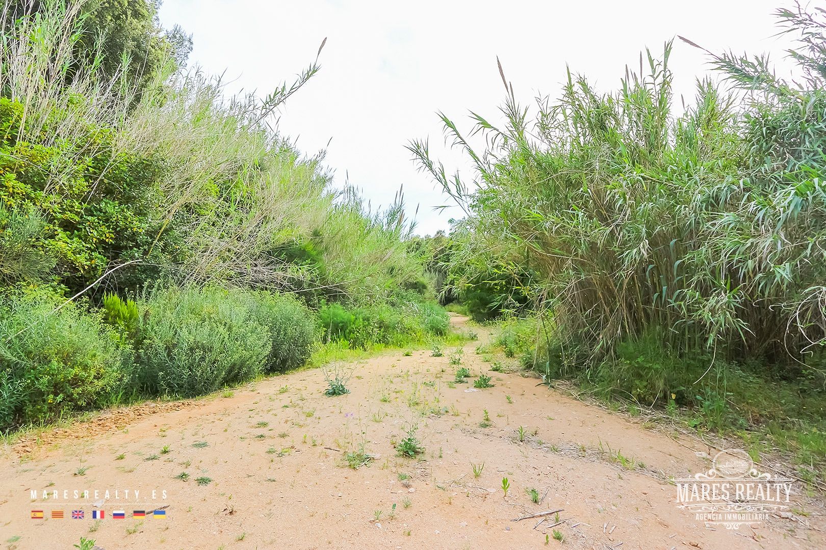 Terreno a Tossa de Mar, Girona, Spagna 17000 mq. N° 91099