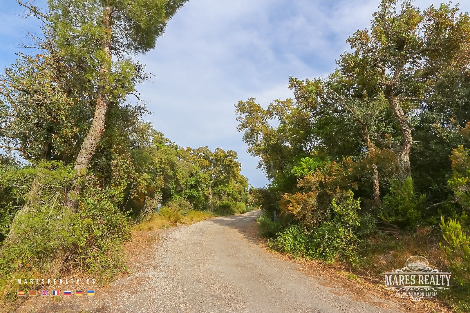Terreno a Tossa de Mar, Girona, Spagna 17000 mq. N° 91099