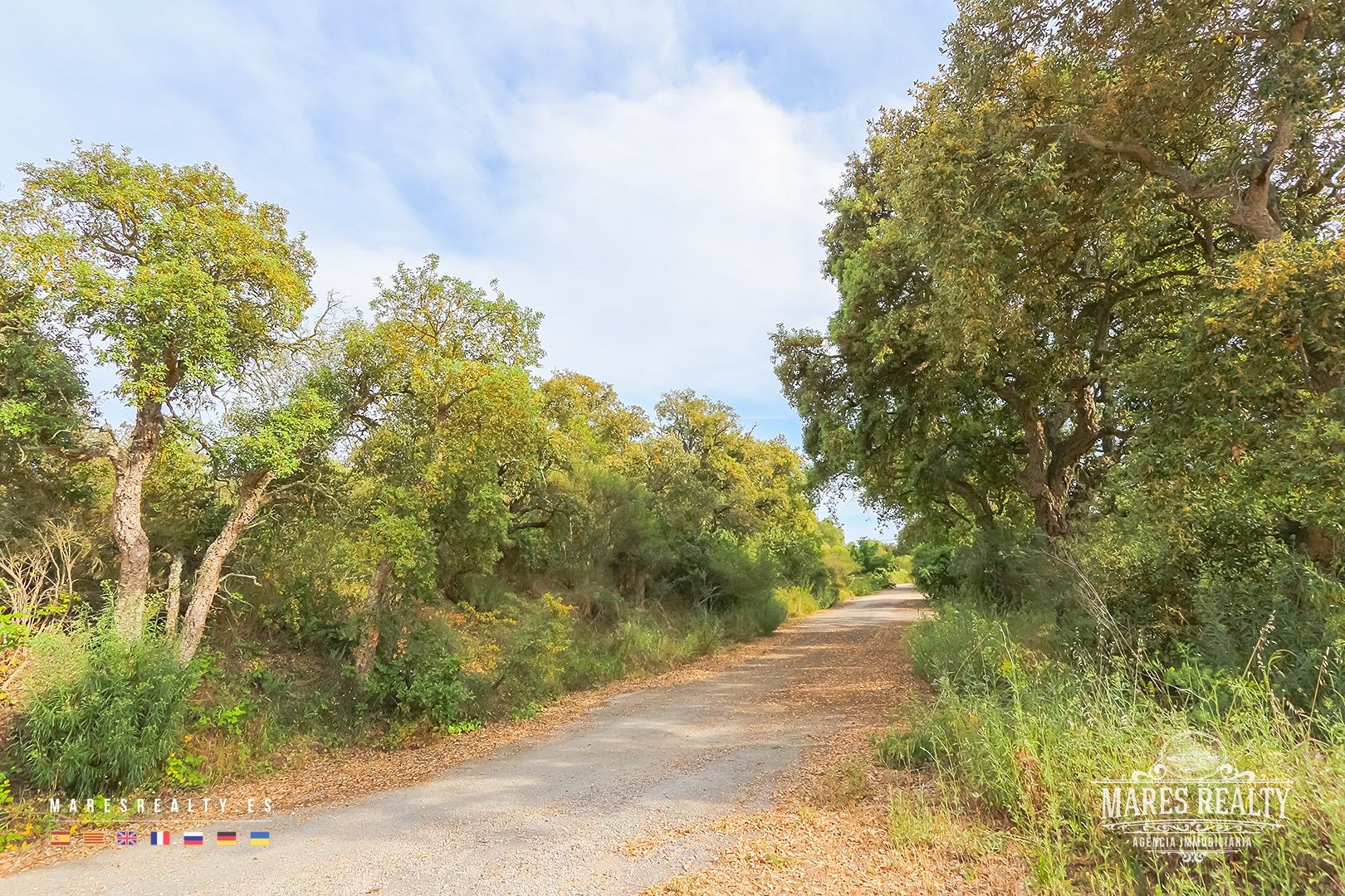 Terreno a Tossa de Mar, Girona, Spagna 17000 mq. N° 91099