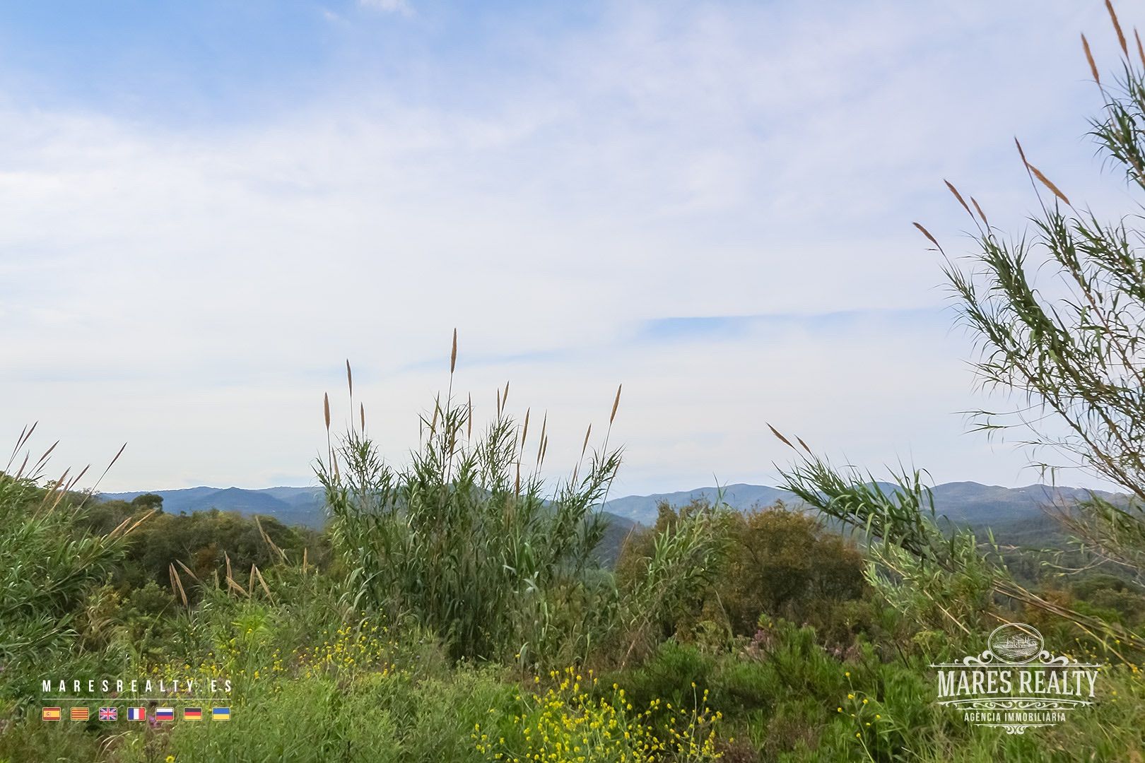 Terreno a Tossa de Mar, Girona, Spagna 17000 mq. N° 91099