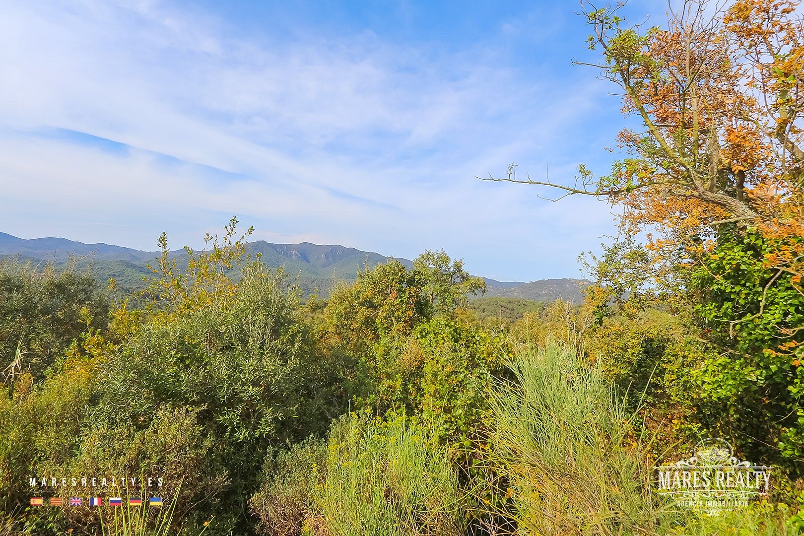 Terreno a Tossa de Mar, Girona, Spagna 17000 mq. N° 91099