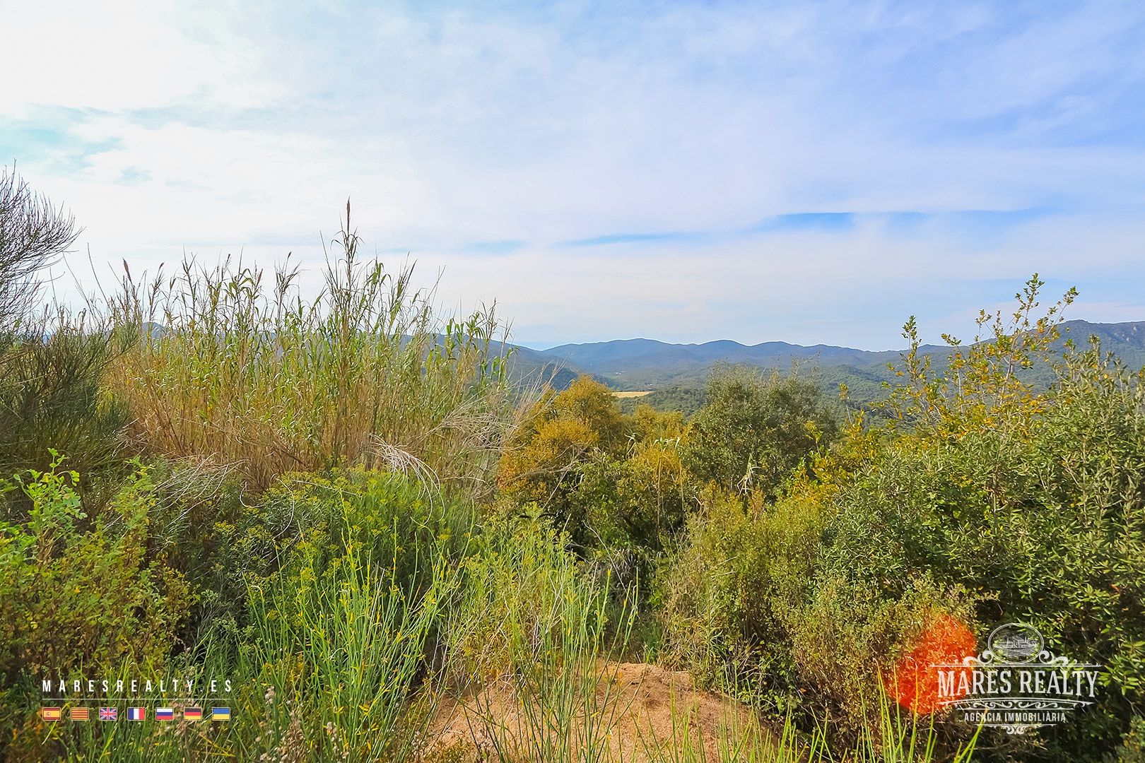 Terreno a Tossa de Mar, Girona, Spagna 17000 mq. N° 91099