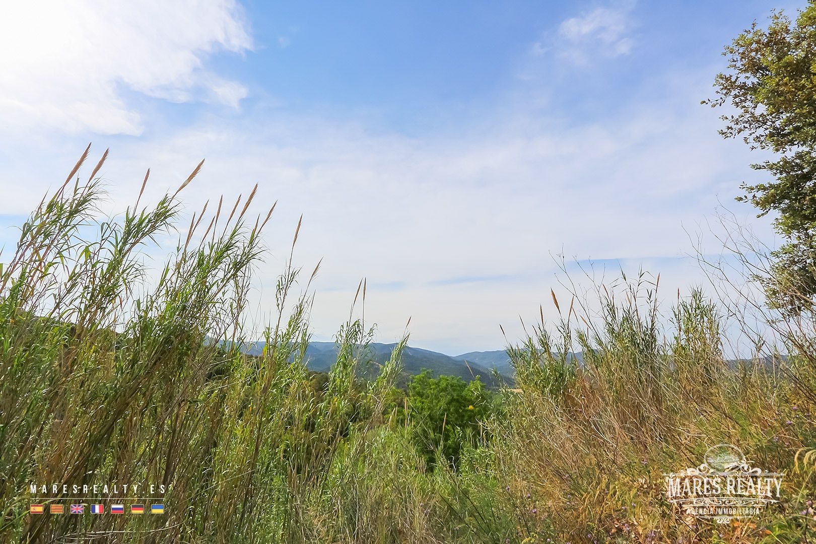 Terreno a Tossa de Mar, Girona, Spagna 17000 mq. N° 91099