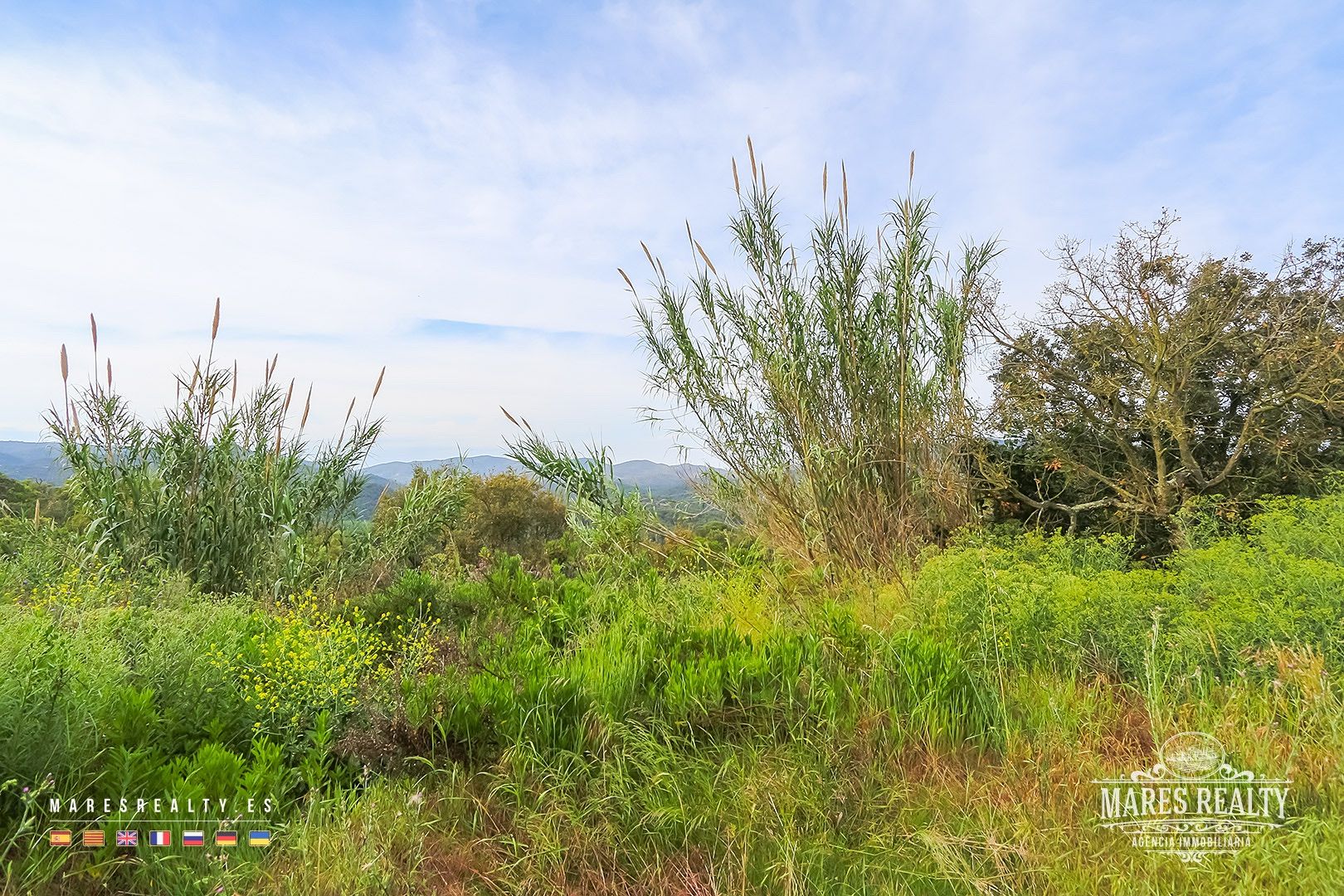 Terreno a Tossa de Mar, Girona, Spagna 17000 mq. N° 91099