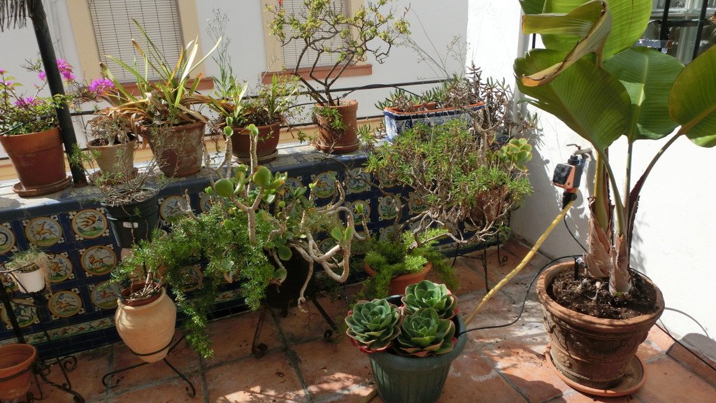 House à El Puerto de Santa Maria, Cadiz, Espagne 5 chambres, 514.71 m2 No. 105684