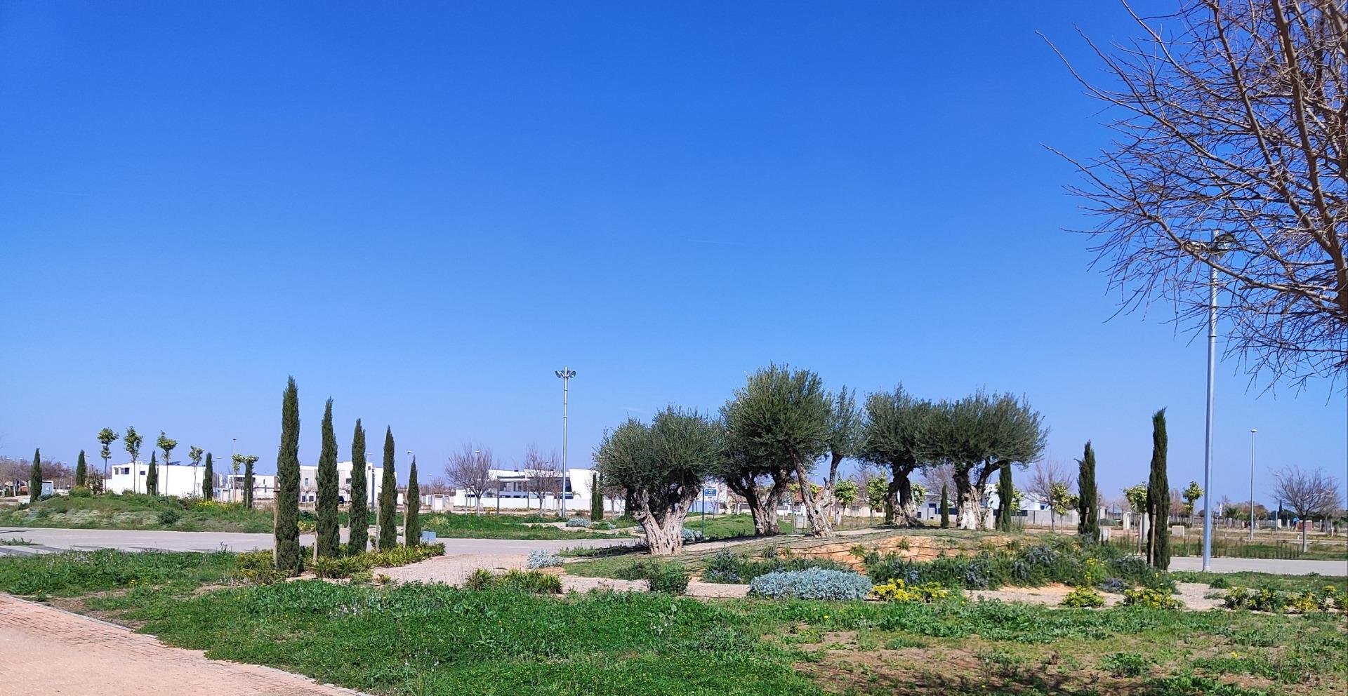 Apartment à Torre-Pacheco, Murcia, Espagne 3 chambres, 112 m2 No. 111386