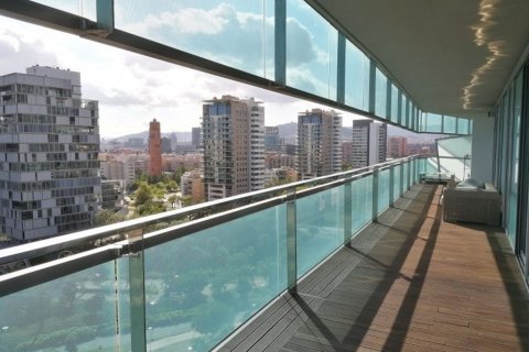 Appartamento in vendita Barcelona, Spagna 4 camere da letto, 220 mq. N° 35386 - foto 20