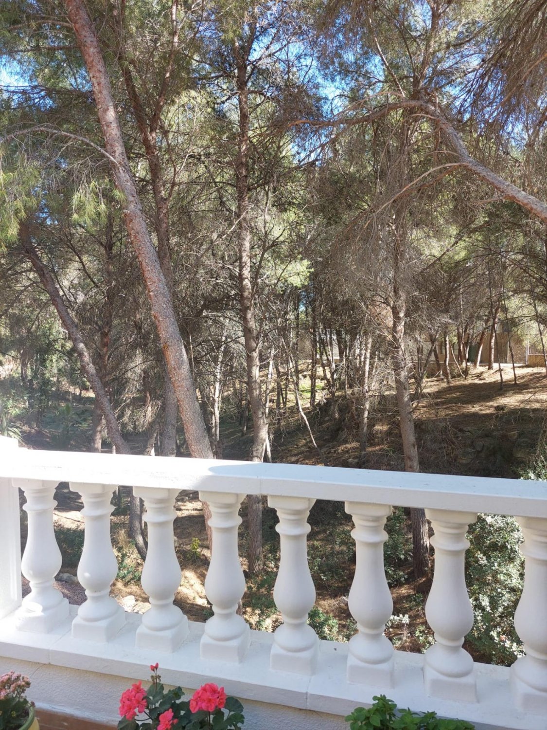 Villa à Algorfa, Alicante, Espagne 5 chambres, 286 m2 No. 95918