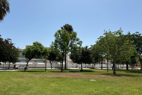 Bungalow Pilar de la Horadada, Alicante, Hiszpania 3 sypialnie, 68 mkw. nr 112391 – zdjęcie 8