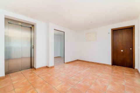 Apartment for sale Torrevieja, Alicante, Spain 2 bedrooms, 75 sq.m. No. 116089 - photo 22