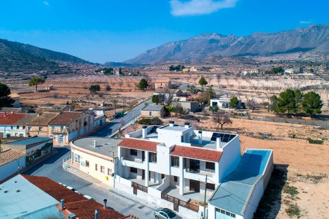 Bungalow till salu Hondon De Las Nieves, Alicante, Spanien 3 sovrum, 101 kvm. Nr. 84265 - foto 24