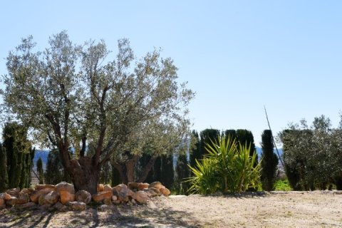 Villa à vendre Pinoso, Alicante, Espagne, 4 chambres,  No. 113381 - photo 21