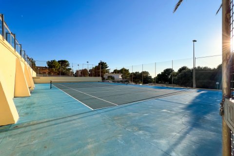 Apartamento en venta Tollerich, Mallorca, España 1 dormitorio, 52 m2 No. 100339 - foto 17