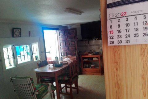 Apartment for sale Torrevieja, Alicante, Spain 3 bedrooms, 169 sq.m. No. 109315 - photo 21
