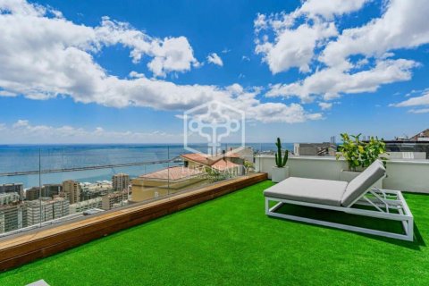 Villa à vendre Santa Cruz de Tenerife, Tenerife, Espagne, 5 chambres, 502 m2 No. 111105 - photo 3