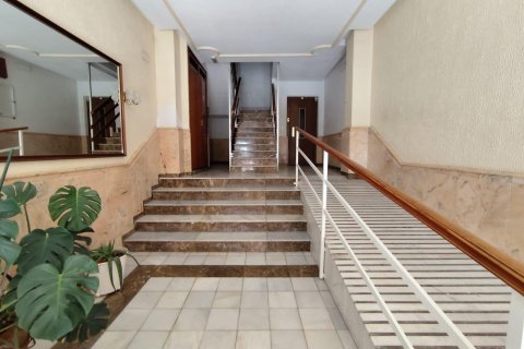 Продажа квартиры Торревьеха, Аликанте, Испания 3 спальни, 176м2 №117075 - фото 10