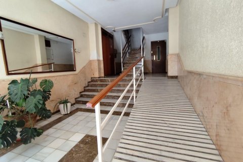 Продажа квартиры Торревьеха, Аликанте, Испания 3 спальни, 176м2 №117075 - фото 5
