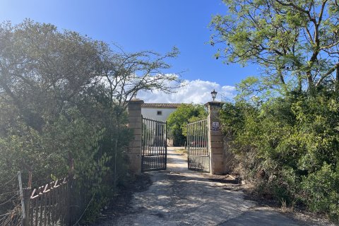 Finca till salu Palma de Majorca, Mallorca, Spanien 8 sovrum, 681 kvm. Nr. 111851 - foto 22