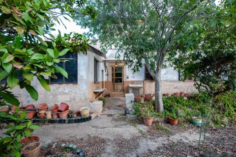Finca till salu Palma de Majorca, Mallorca, Spanien 8 sovrum, 681 kvm. Nr. 111851 - foto 17