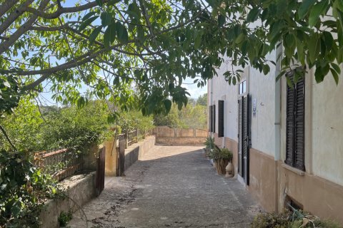Finca till salu Palma de Majorca, Mallorca, Spanien 8 sovrum, 681 kvm. Nr. 111851 - foto 21