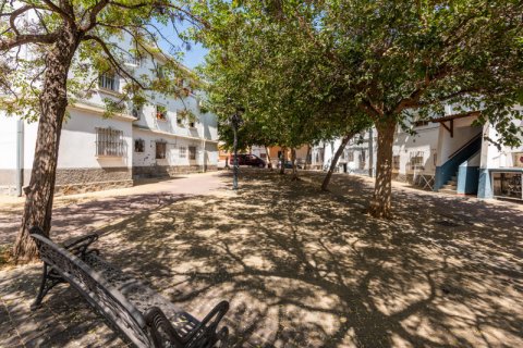 Продажа квартиры Эстепона, Малага, Испания 2 спальни, 44м2 №109517 - фото 14