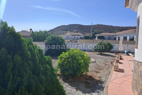 Villa till salu Arboleas, Almeria, Spanien 3 sovrum, 609 kvm. Nr. 113643 - foto 21