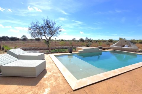 Finca till salu Campos, Mallorca, Spanien 4 sovrum, 340 kvm. Nr. 111895 - foto 23