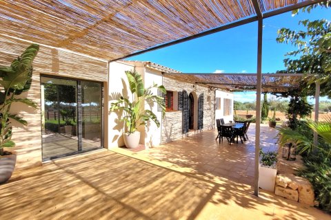 Finca till salu Campos, Mallorca, Spanien 4 sovrum, 340 kvm. Nr. 111895 - foto 24