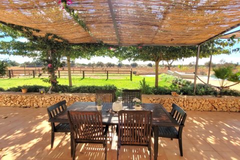 Finca till salu Campos, Mallorca, Spanien 4 sovrum, 340 kvm. Nr. 111895 - foto 25
